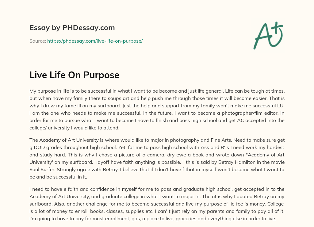 Live Life On Purpose essay