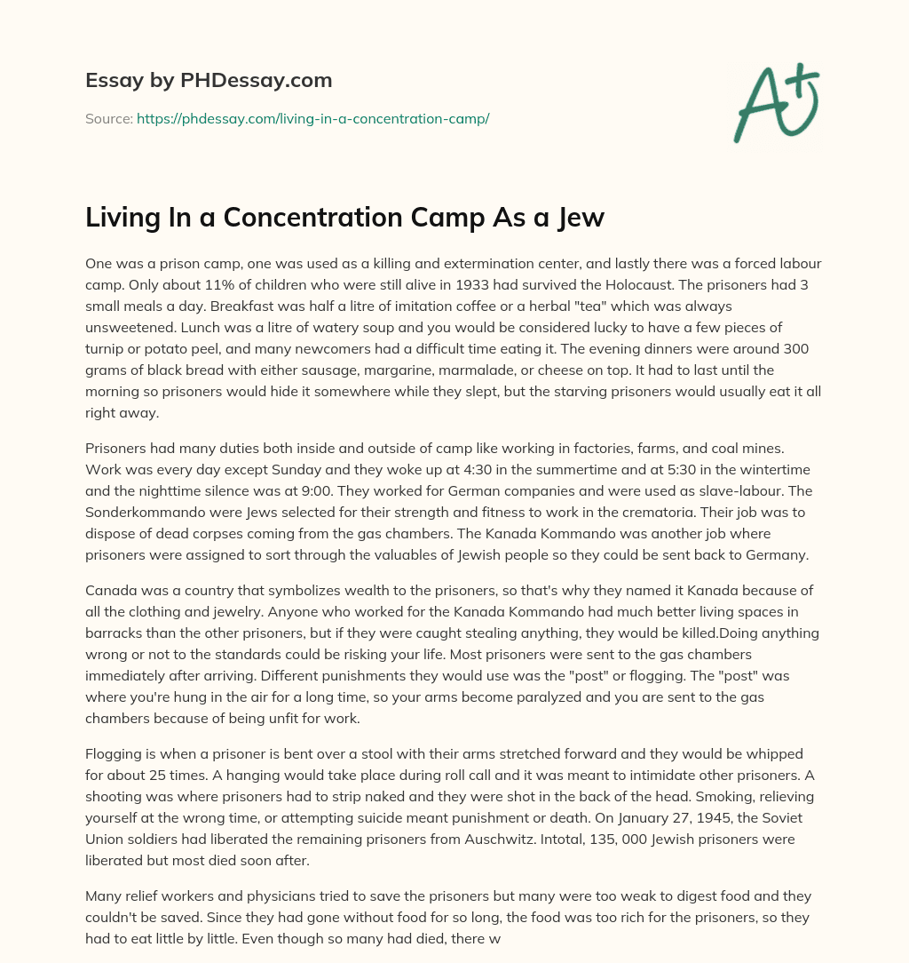 Living In a Concentration Camp As a Jew essay