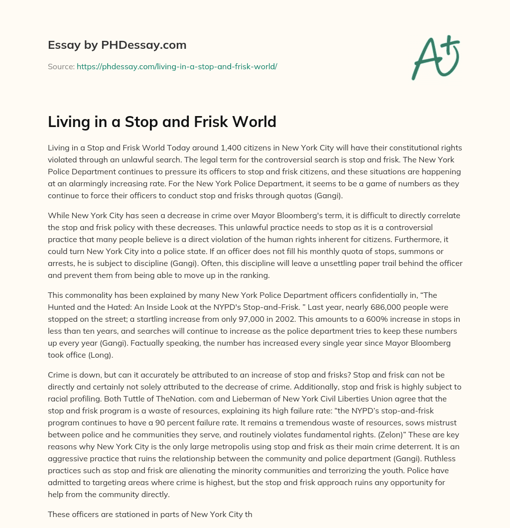 Living in a Stop and Frisk World essay