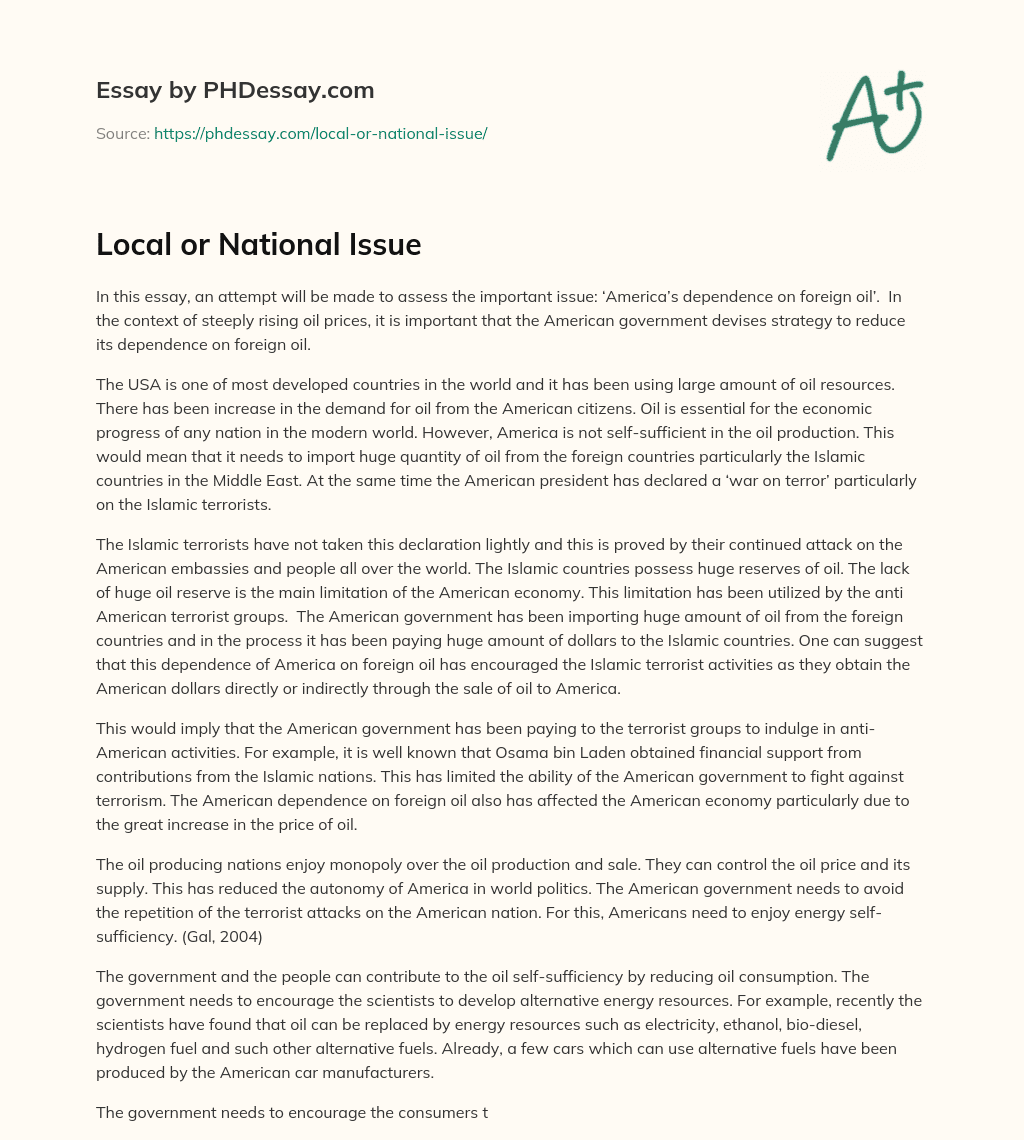 Local or National Issue essay