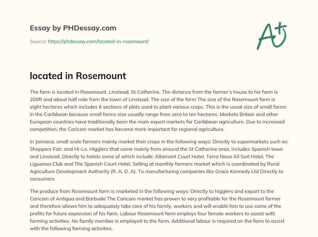 located in Rosemount essay