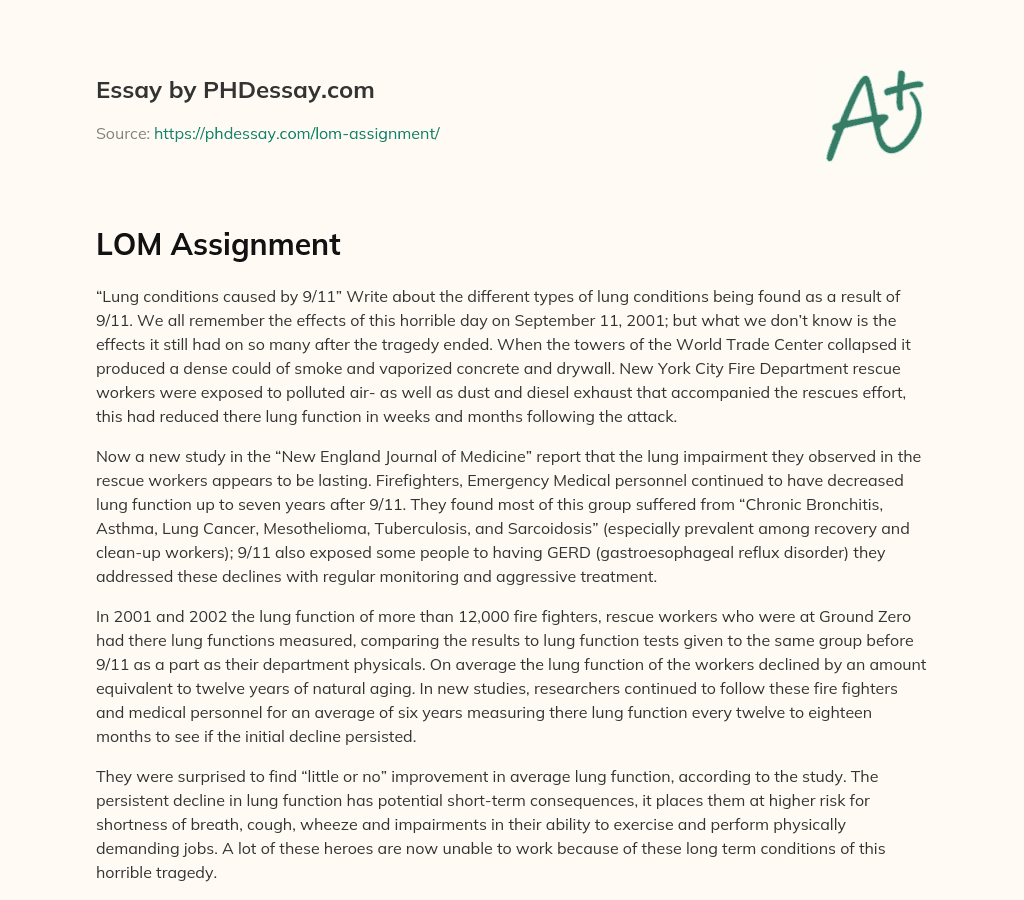LOM Assignment essay
