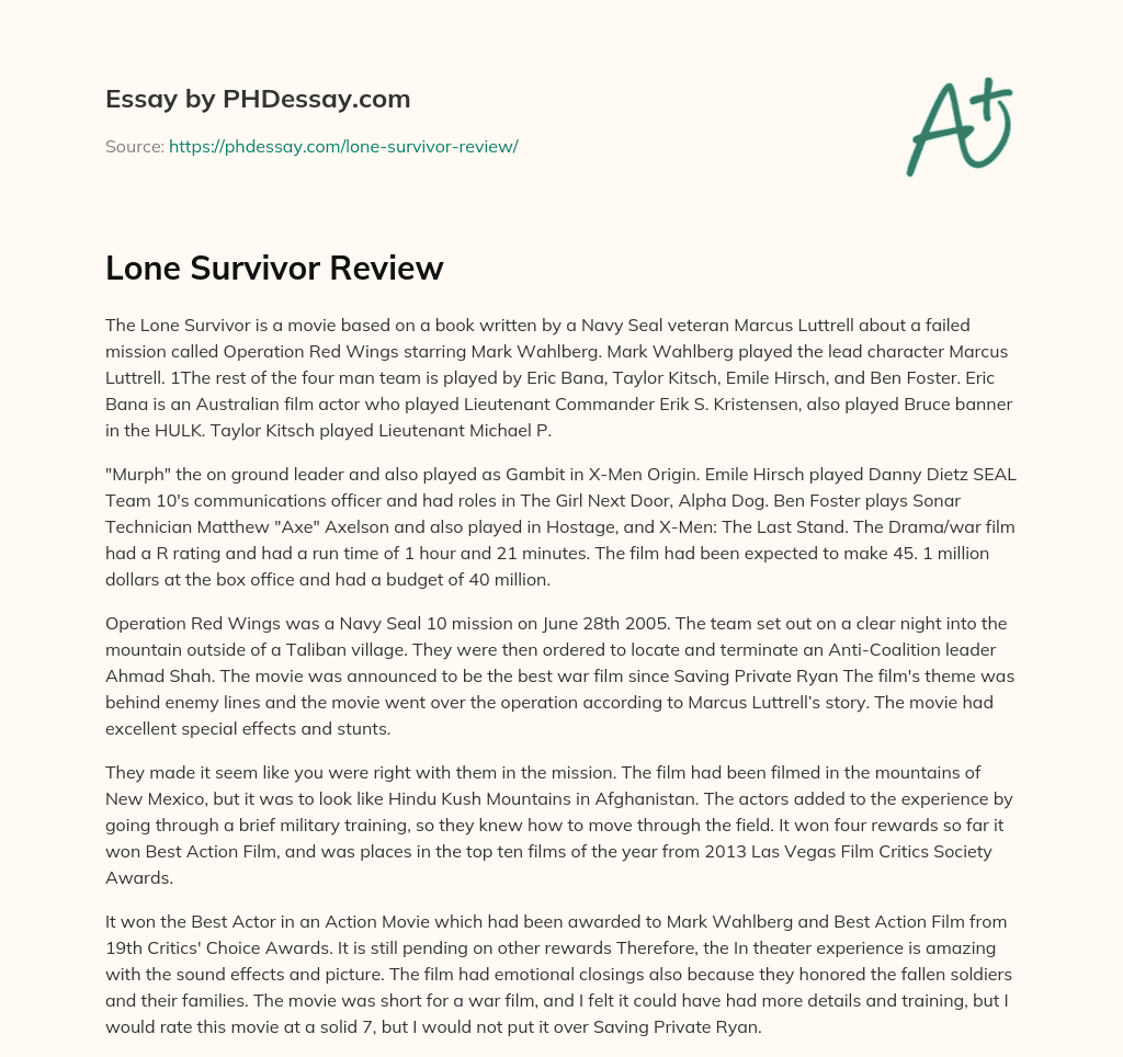 Lone Survivor Review essay