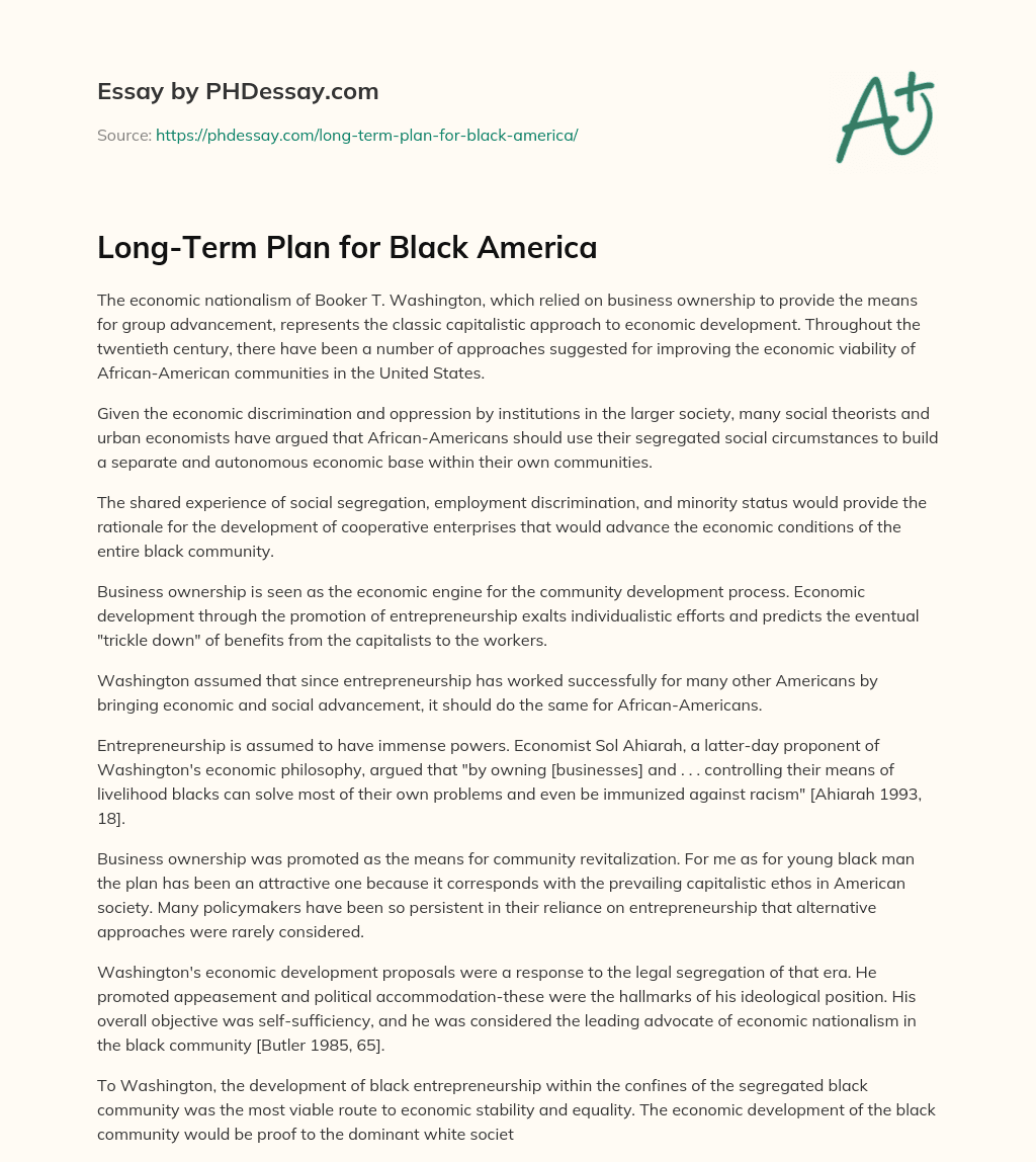 Long-Term Plan for Black America essay