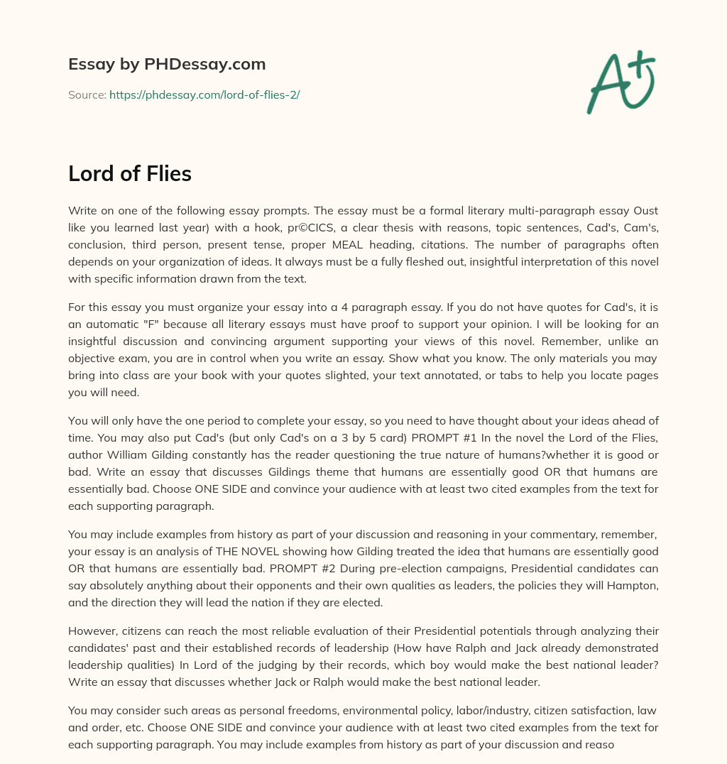 Lord of Flies essay