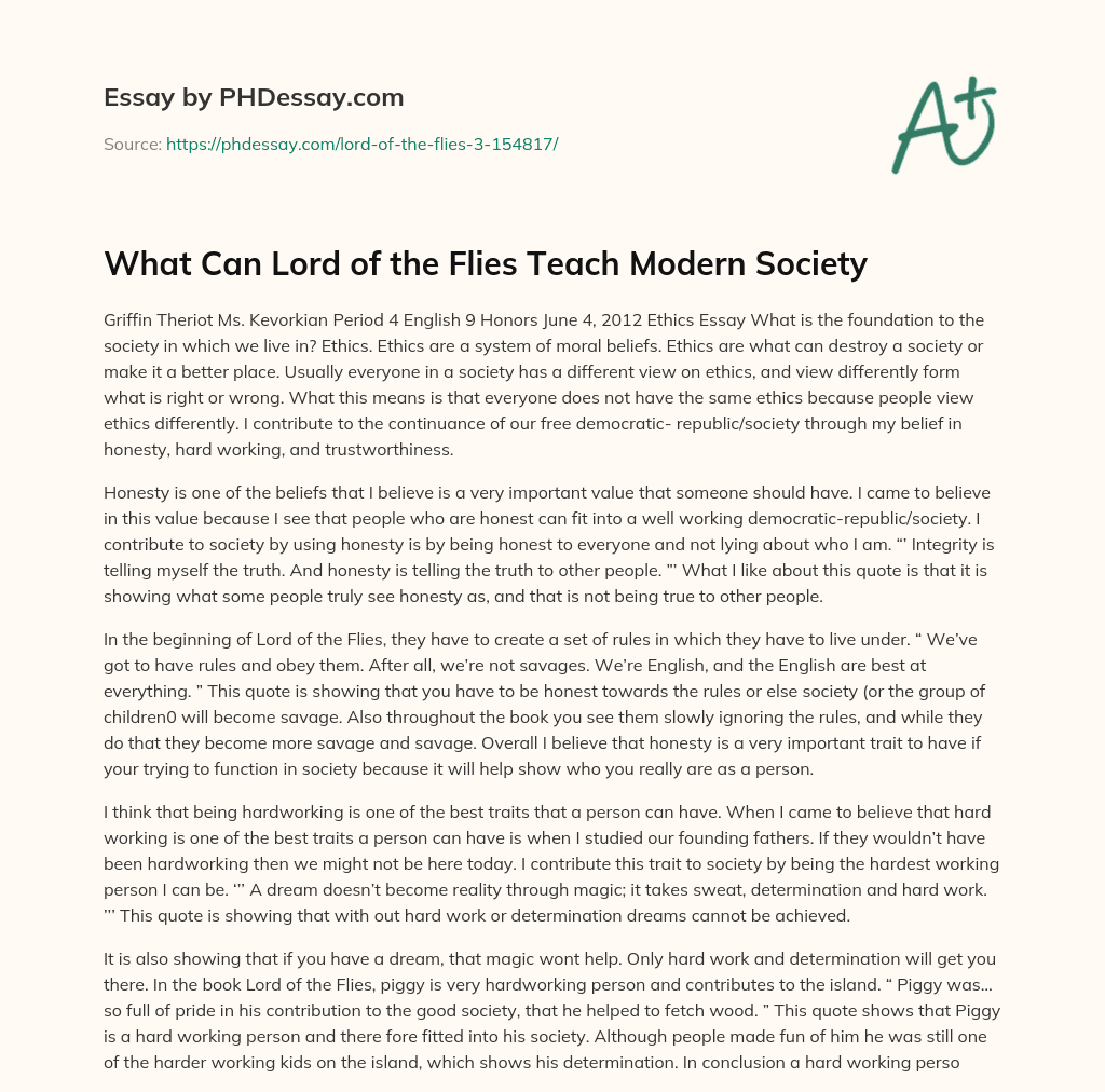 What Can Lord of the Flies Teach Modern Society essay