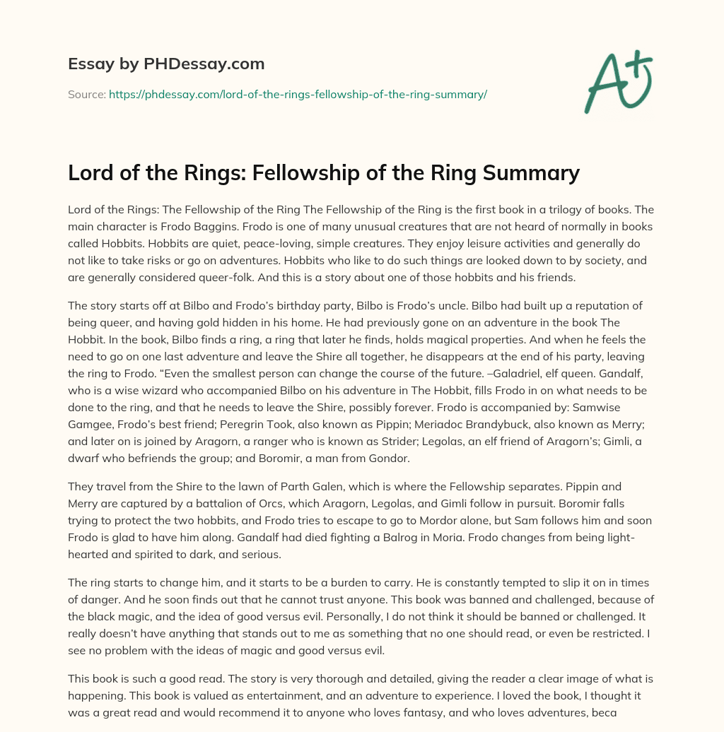 Lord of the Rings: Fellowship of the Ring Summary essay