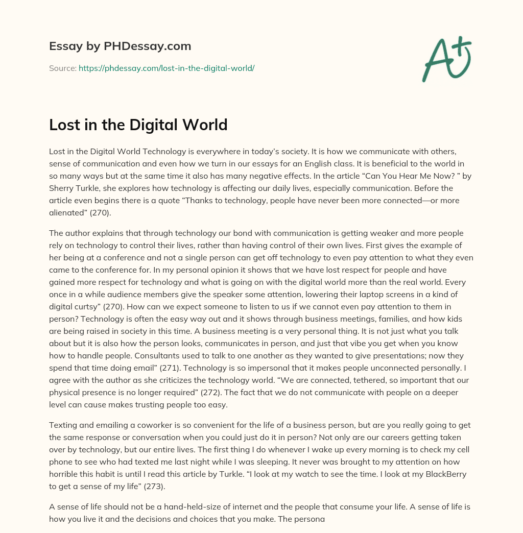 Lost in the Digital World essay
