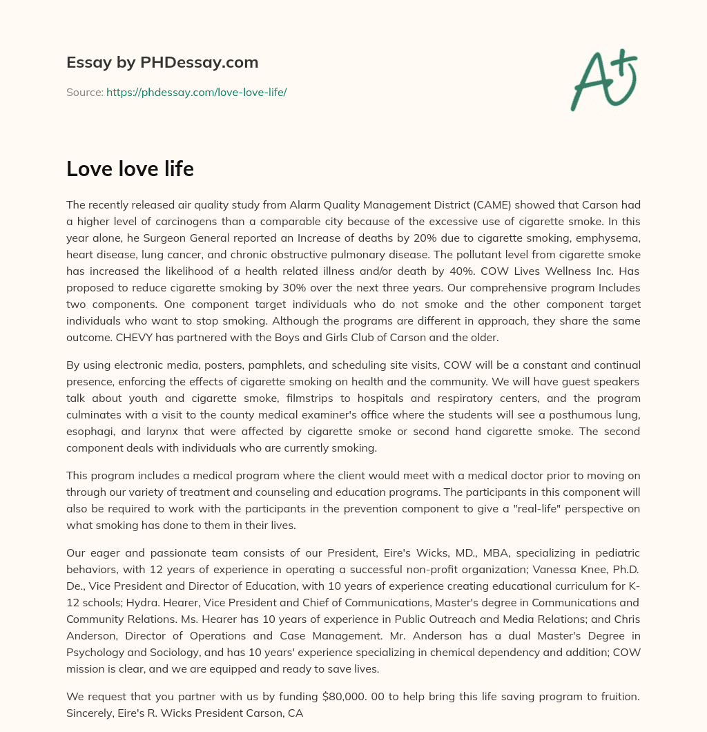 Love love life essay