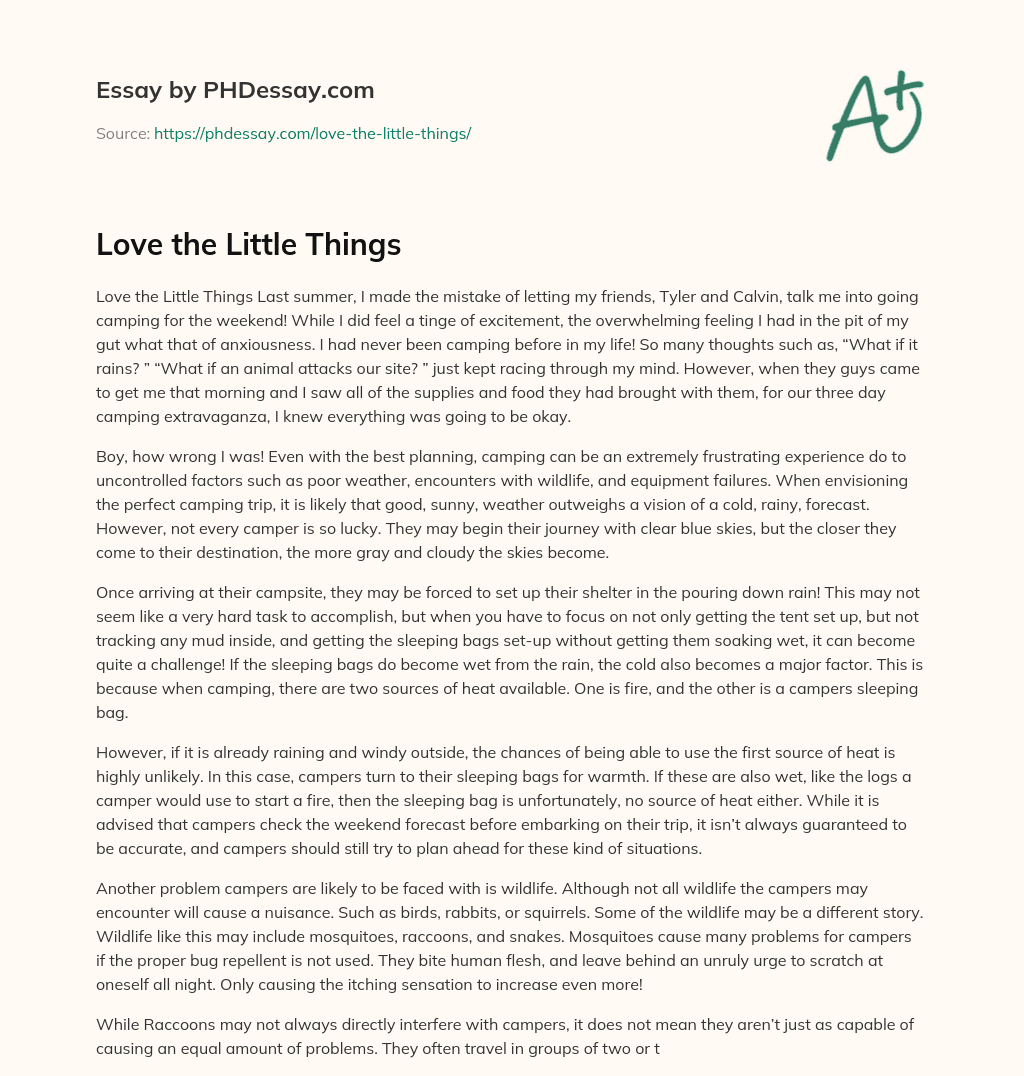 Love the Little Things essay