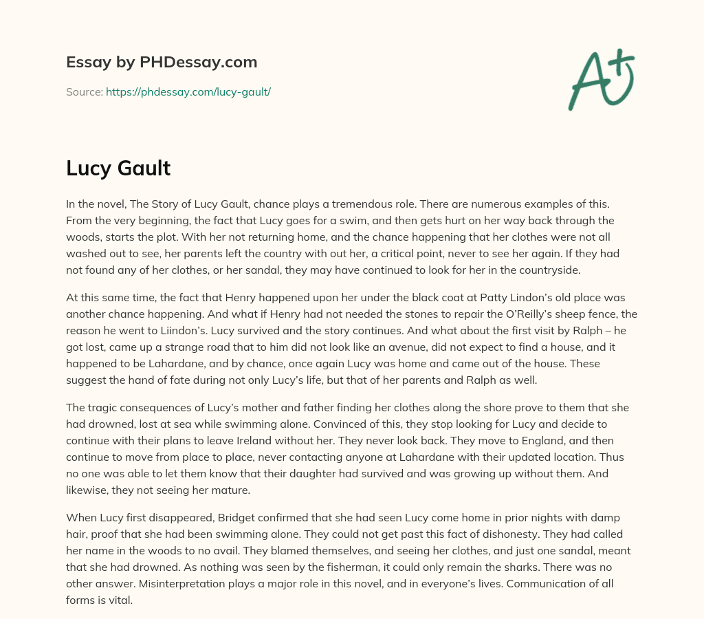 Chance and Fate in The Story of Lucy Gault essay