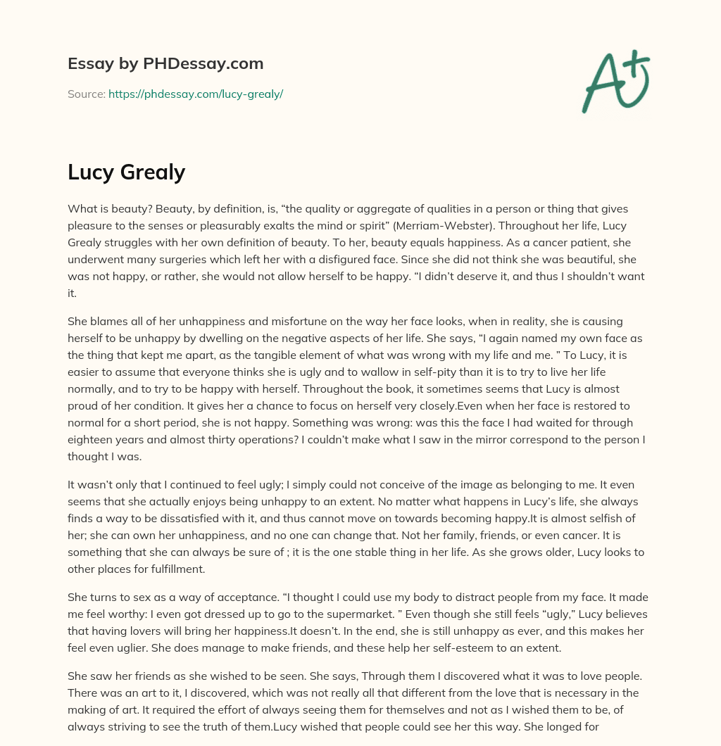 Struggling with the Definition of Beauty essay