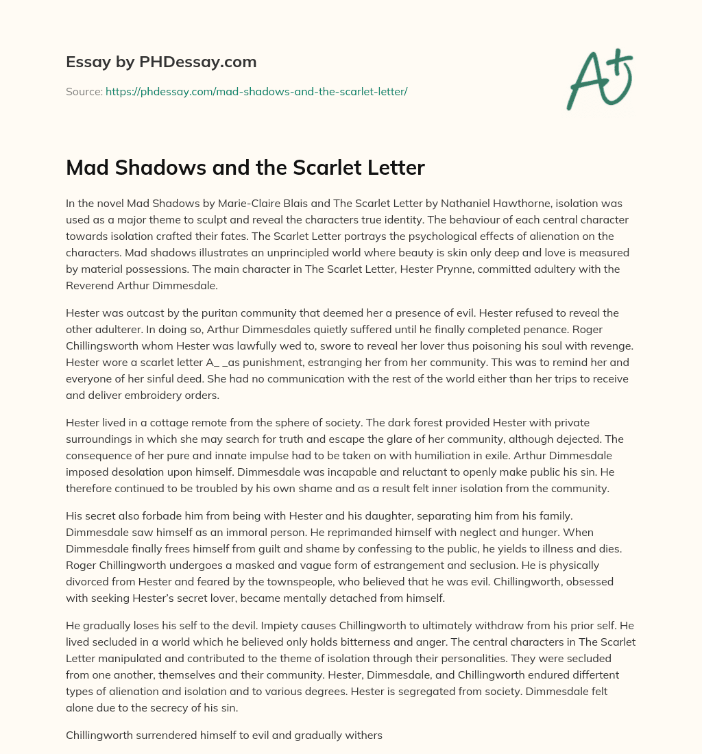 Mad Shadows and the Scarlet Letter essay