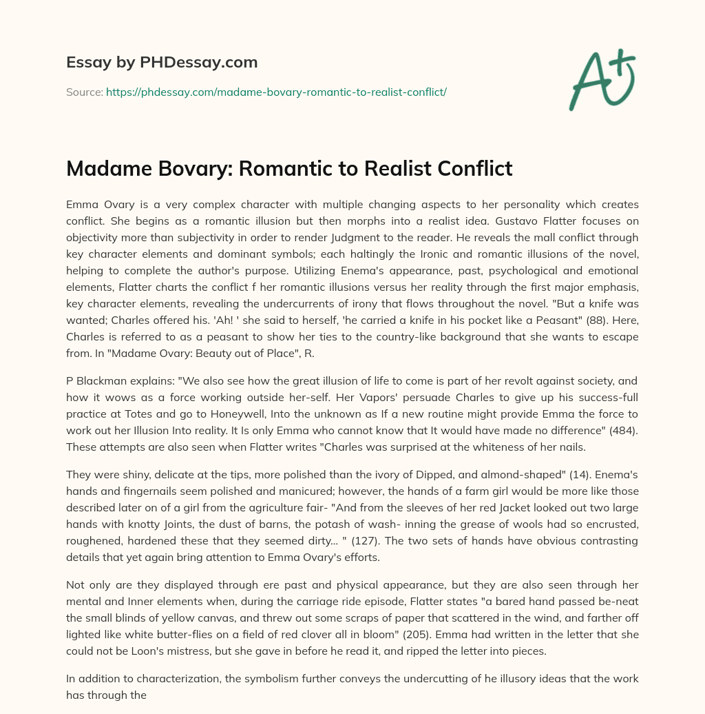 Madame Bovary: Romantic to Realist Conflict essay