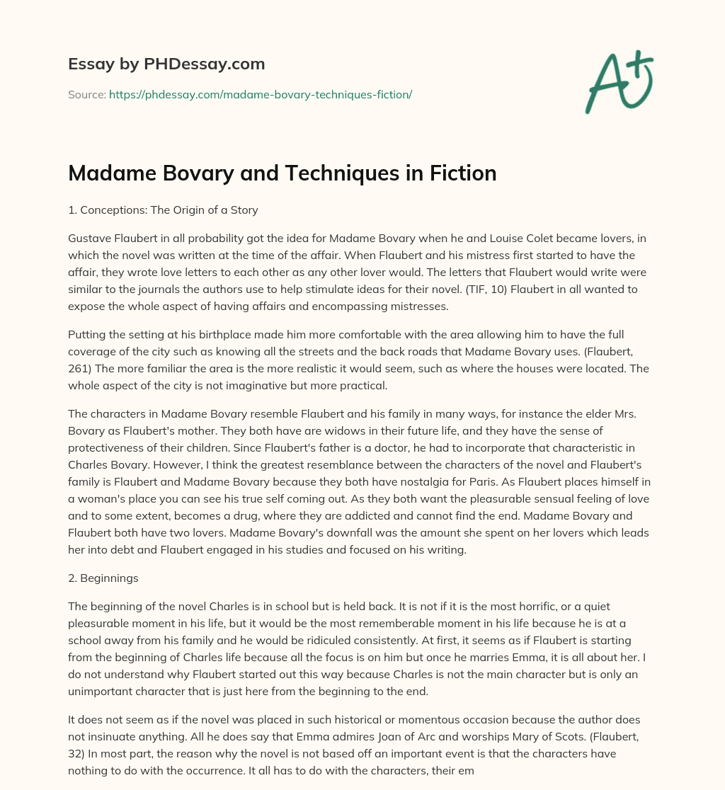Madame Bovary and Techniques in Fiction essay