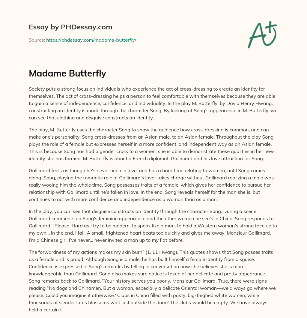 Madame Butterfly essay