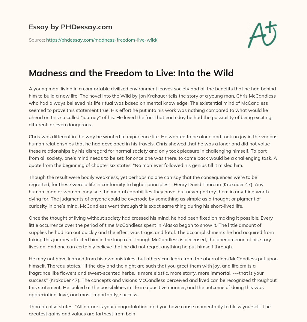 Madness and the Freedom to Live: Into the Wild essay