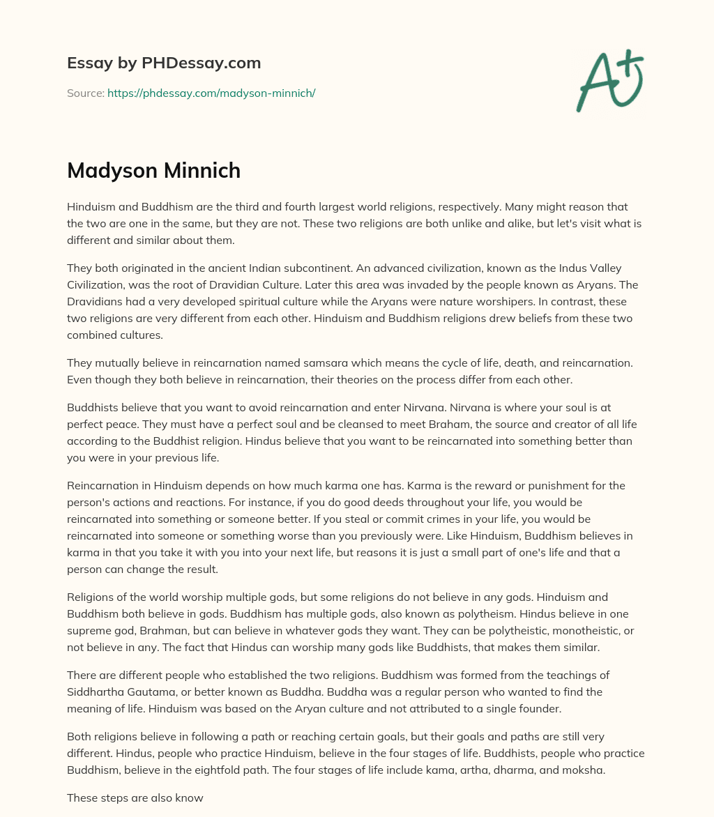 Madyson Minnich essay