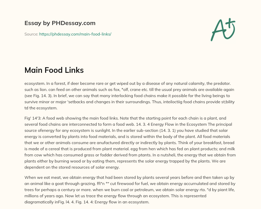 Main Food Links essay