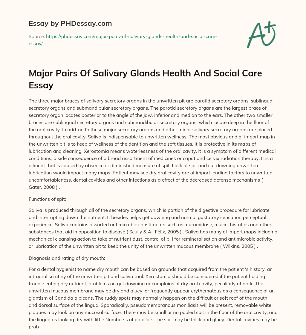 Major Pairs Of Salivary Glands Health And Social Care Essay essay