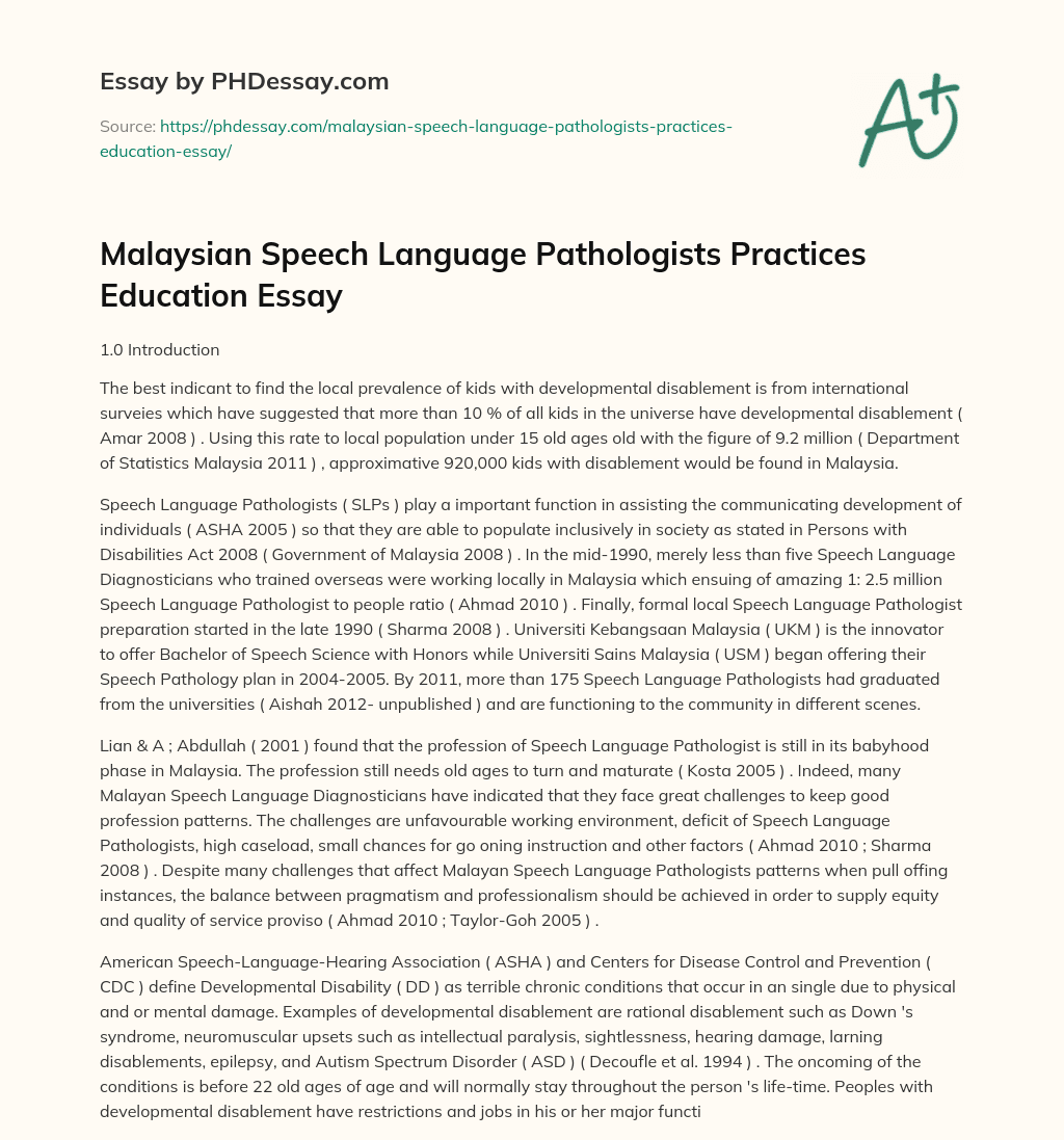 Malaysian Speech Language Pathologists Practices Education Essay essay