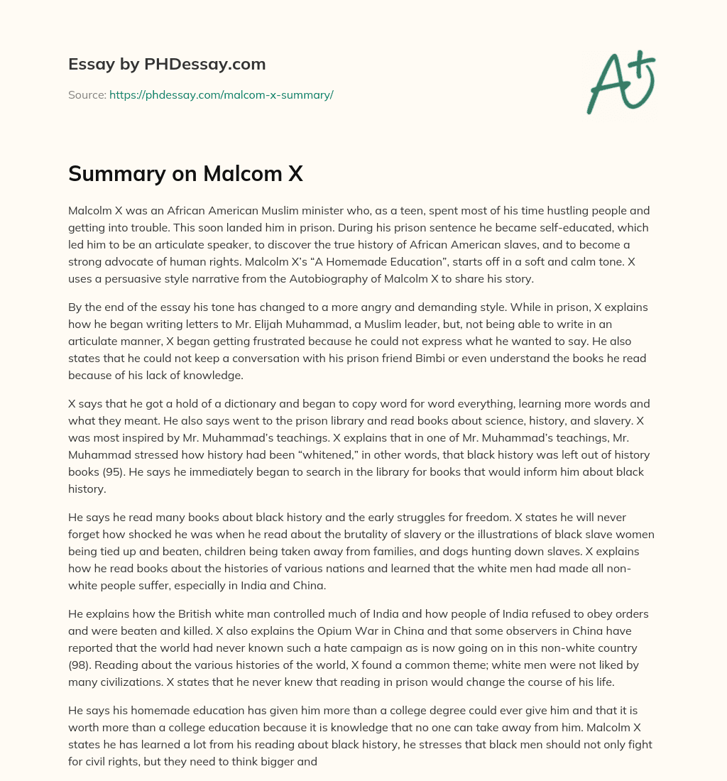 Summary on Malcom X essay