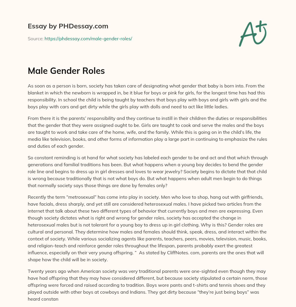 Male Gender Roles essay