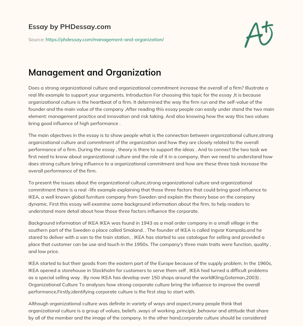 Management and Organization essay