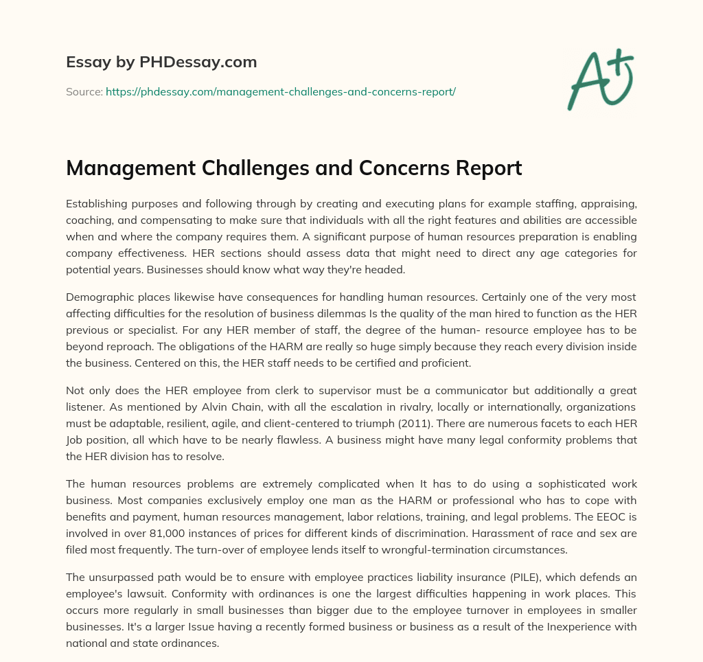 Management Challenges and Concerns Report essay