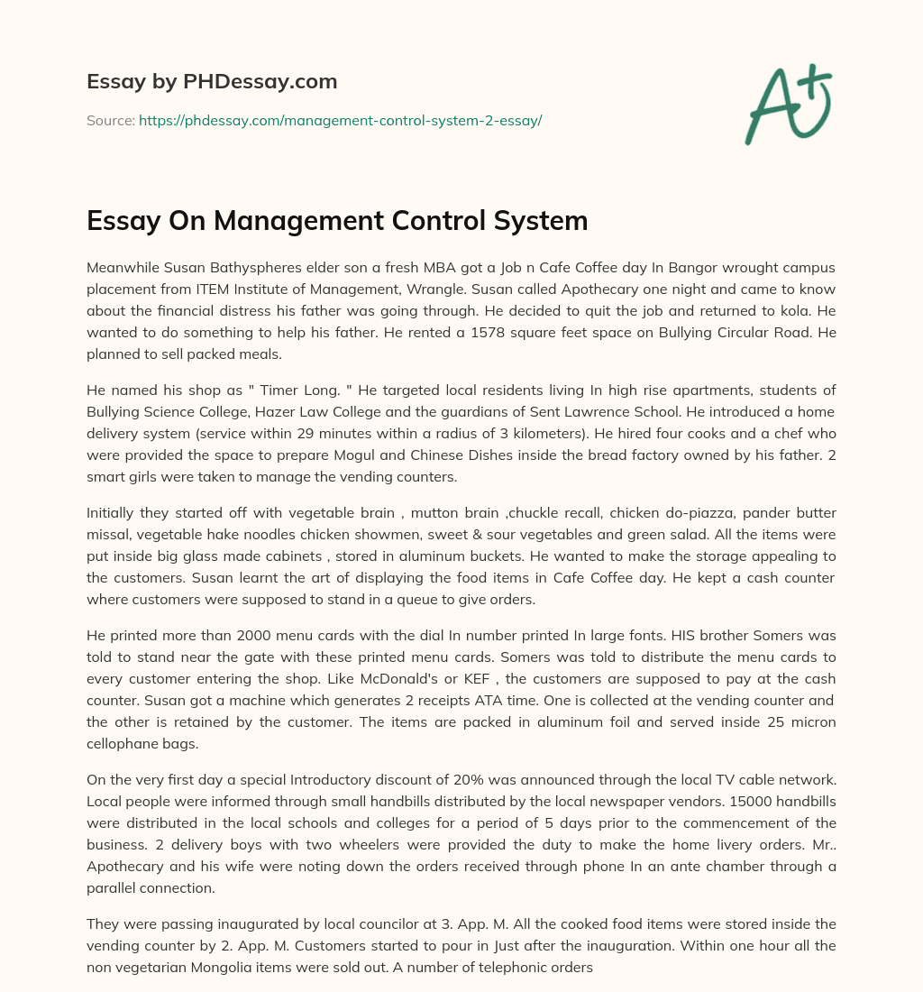 Essay On Management Control System essay