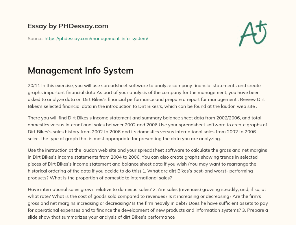 Management Info System essay