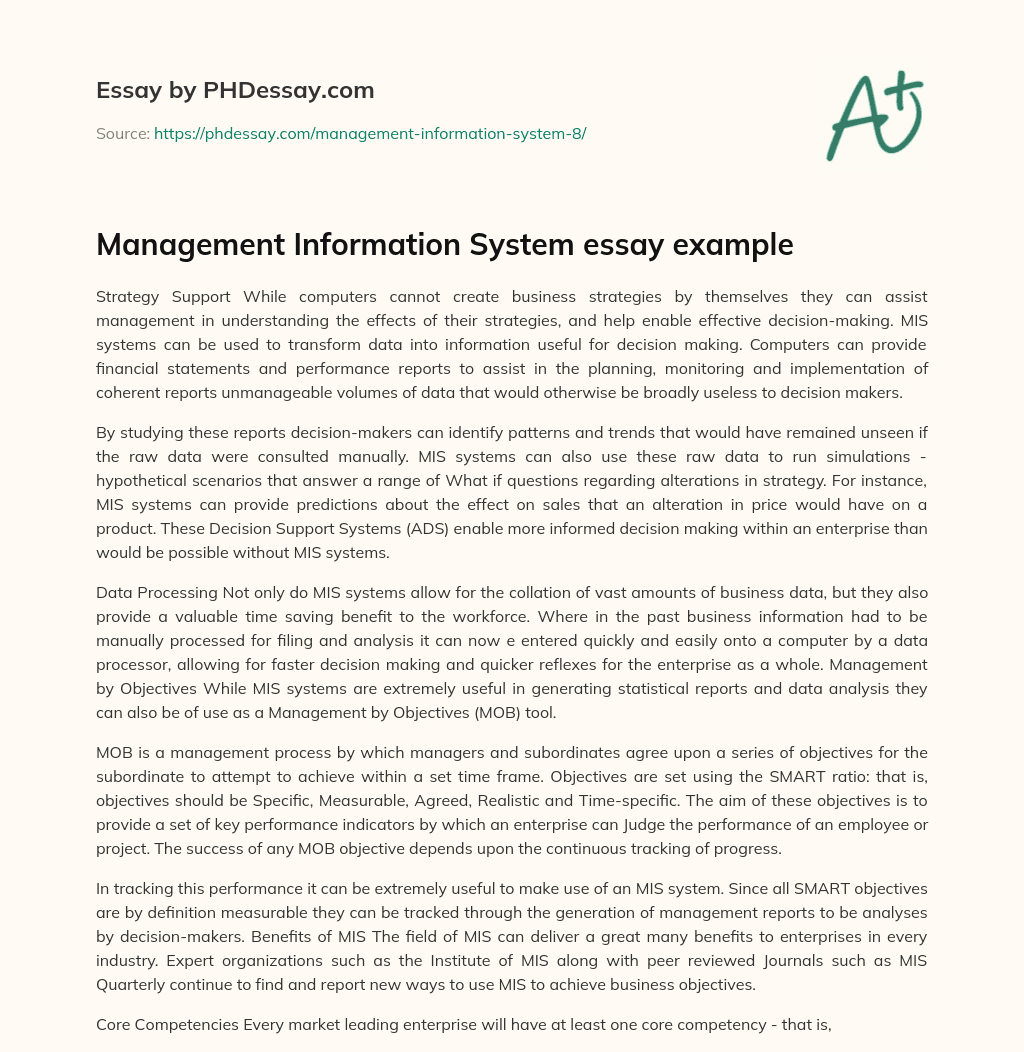Management Information System essay example essay