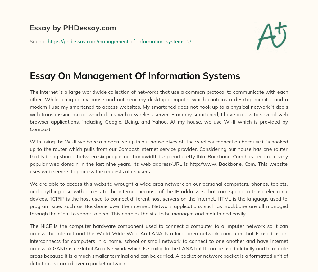 Essay On Management Of Information Systems essay