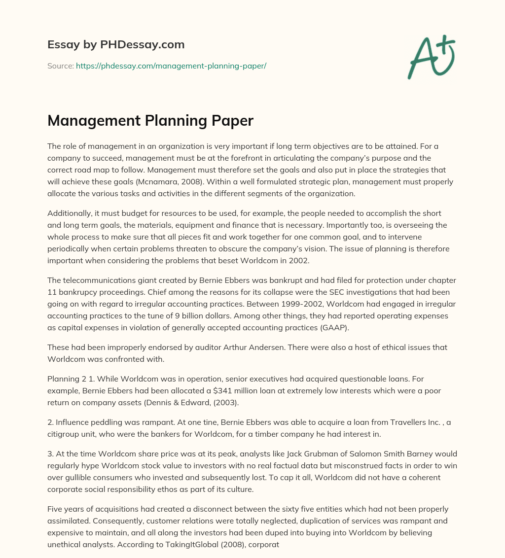 Management Planning Paper essay