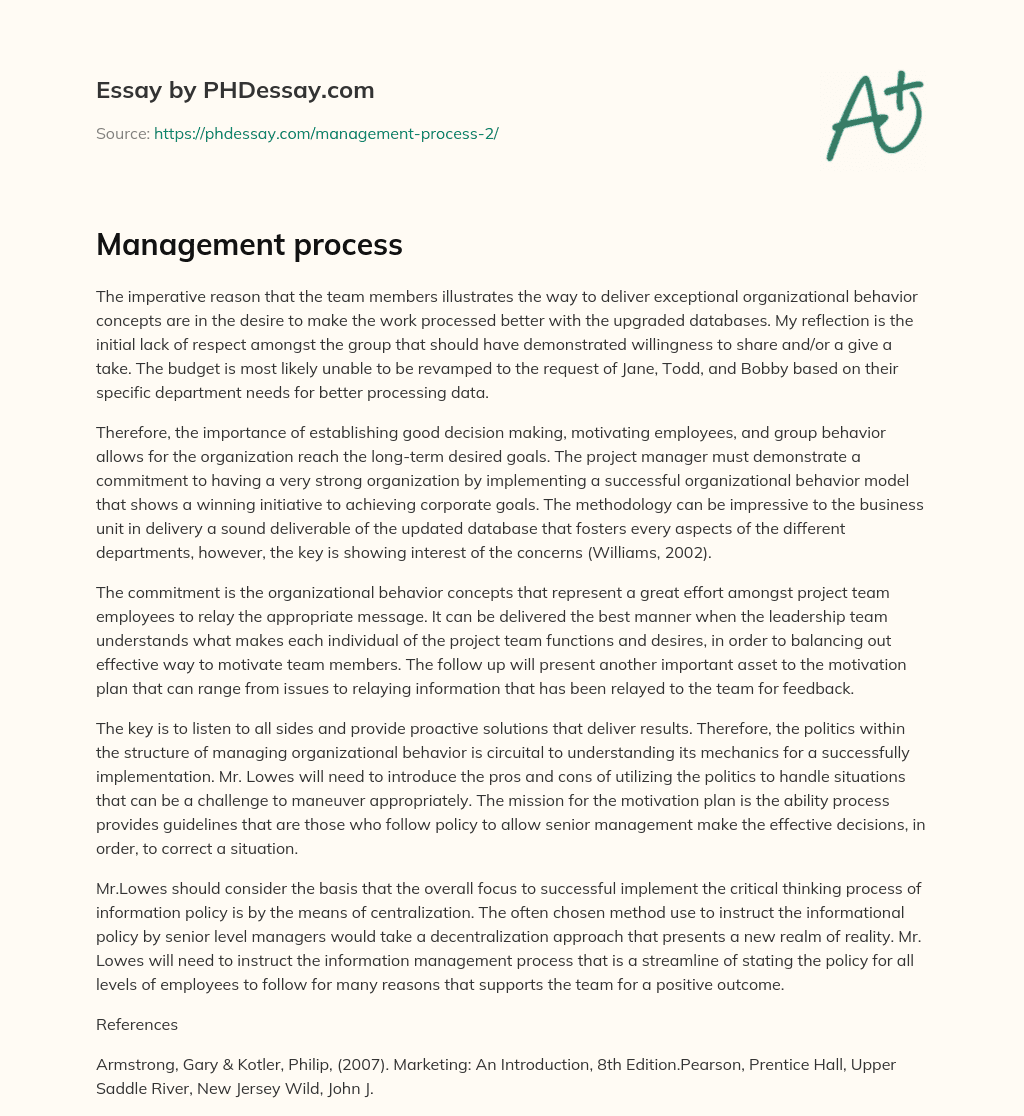 Management process essay