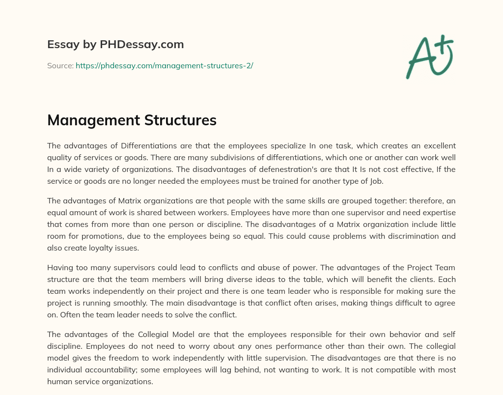 Management Structures essay