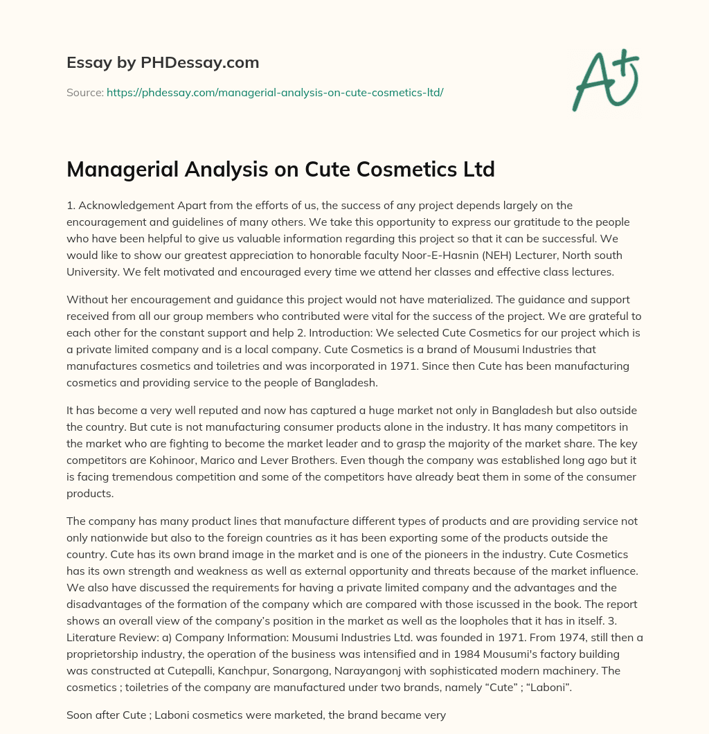 Managerial Analysis on Cute Cosmetics Ltd essay