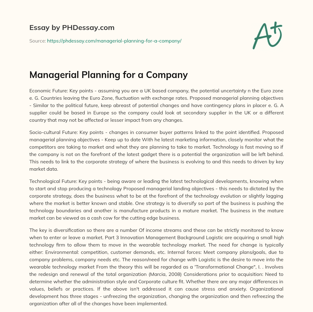 Managerial Planning for a Company essay