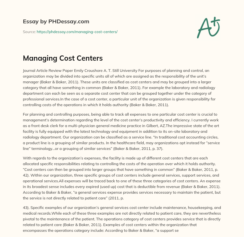 Managing Cost Centers essay