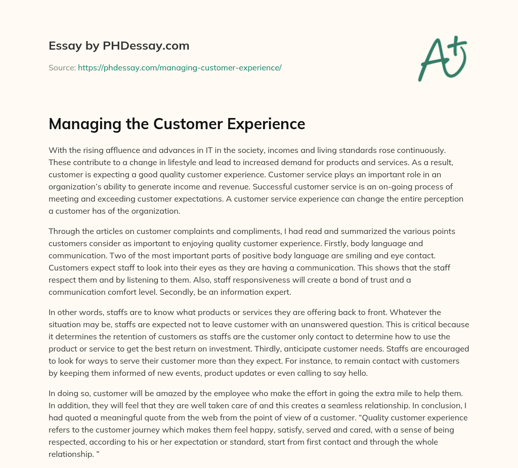 Managing the Customer Experience essay