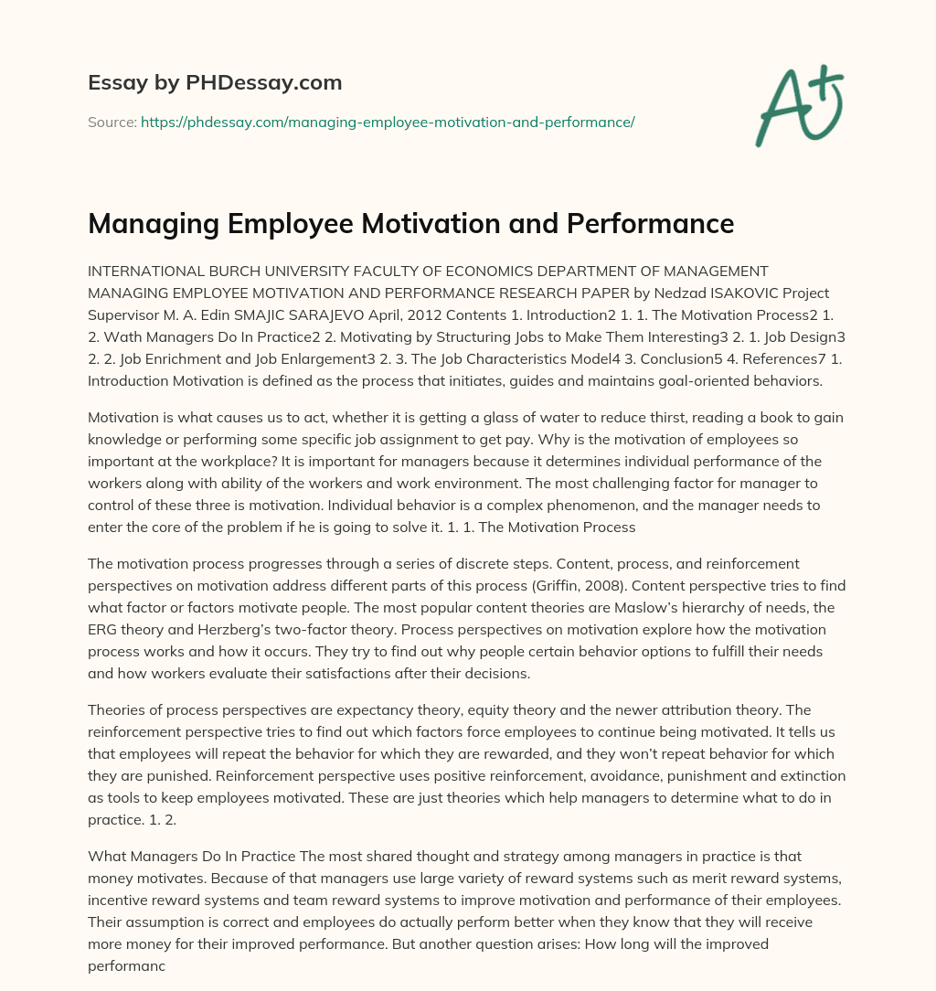Managing Employee Motivation and Performance essay