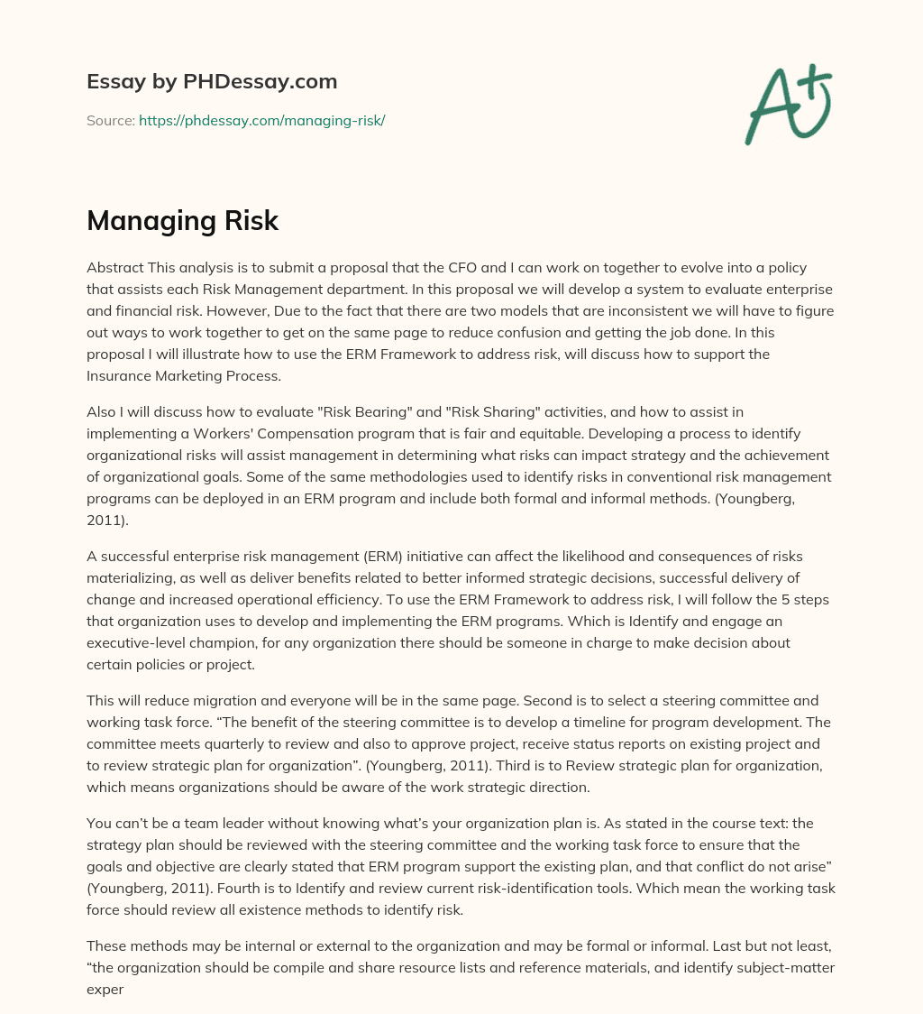 Managing Risk essay