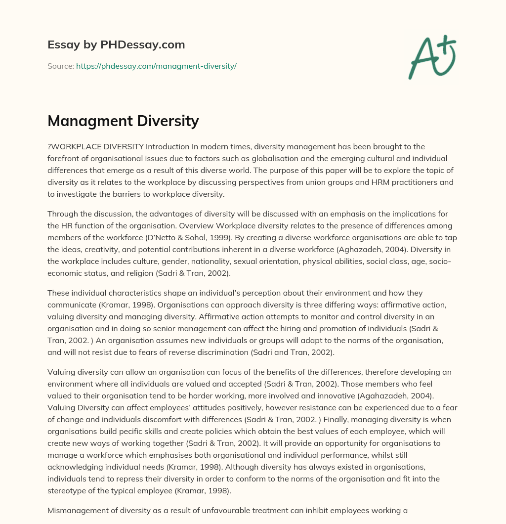 Managment Diversity essay