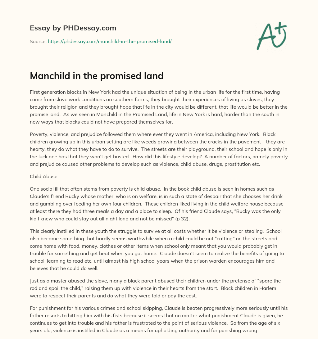 Manchild in the promised land essay