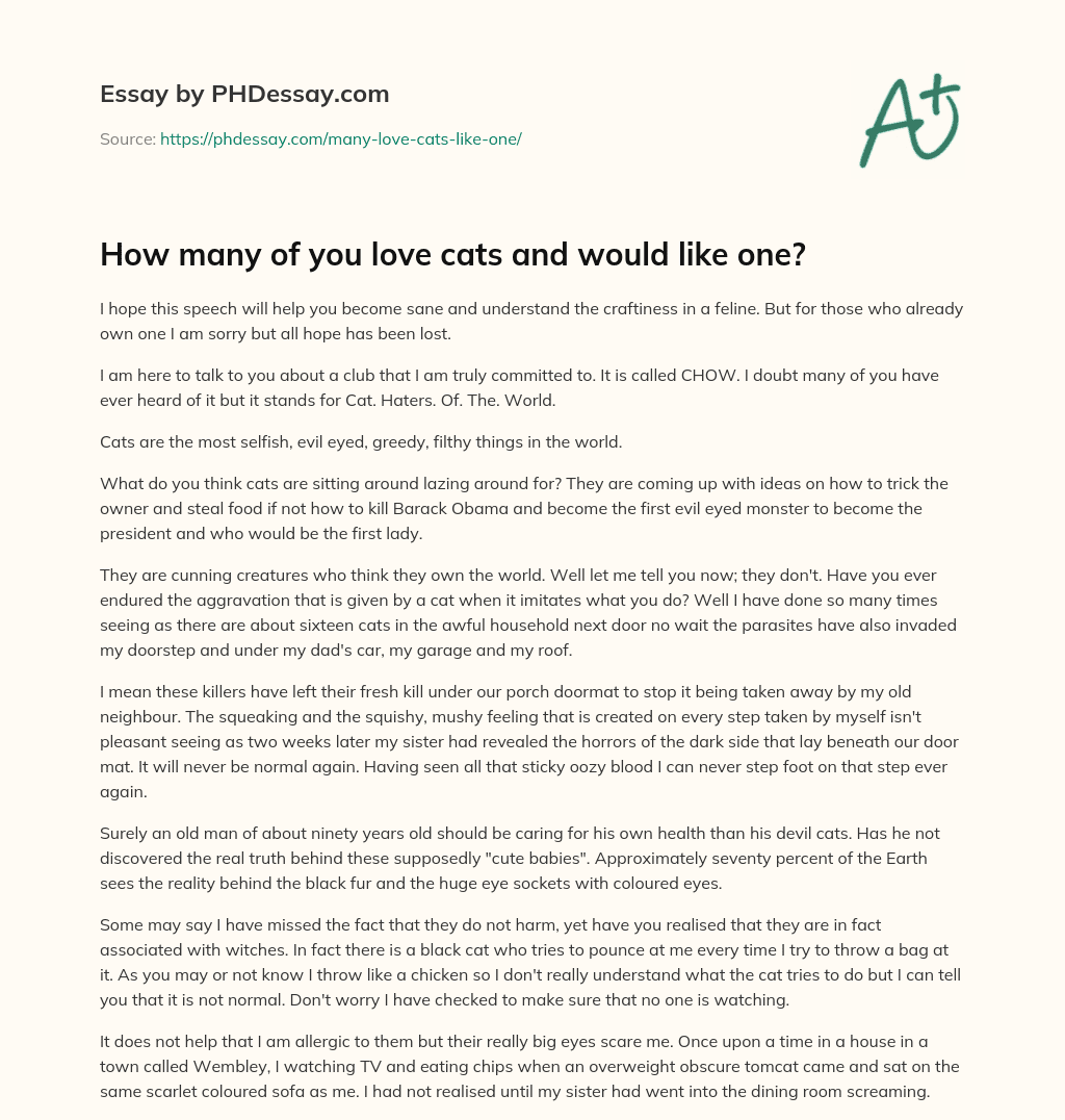 How many of you love cats and would like one? essay