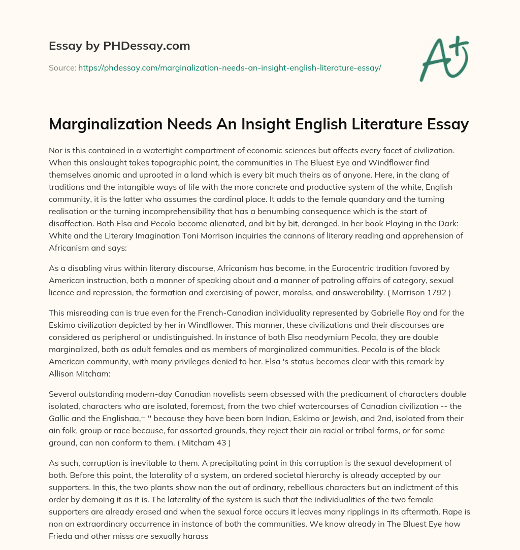 Marginalization Needs An Insight English Literature Essay essay