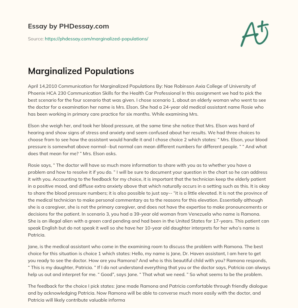 Marginalized Populations essay