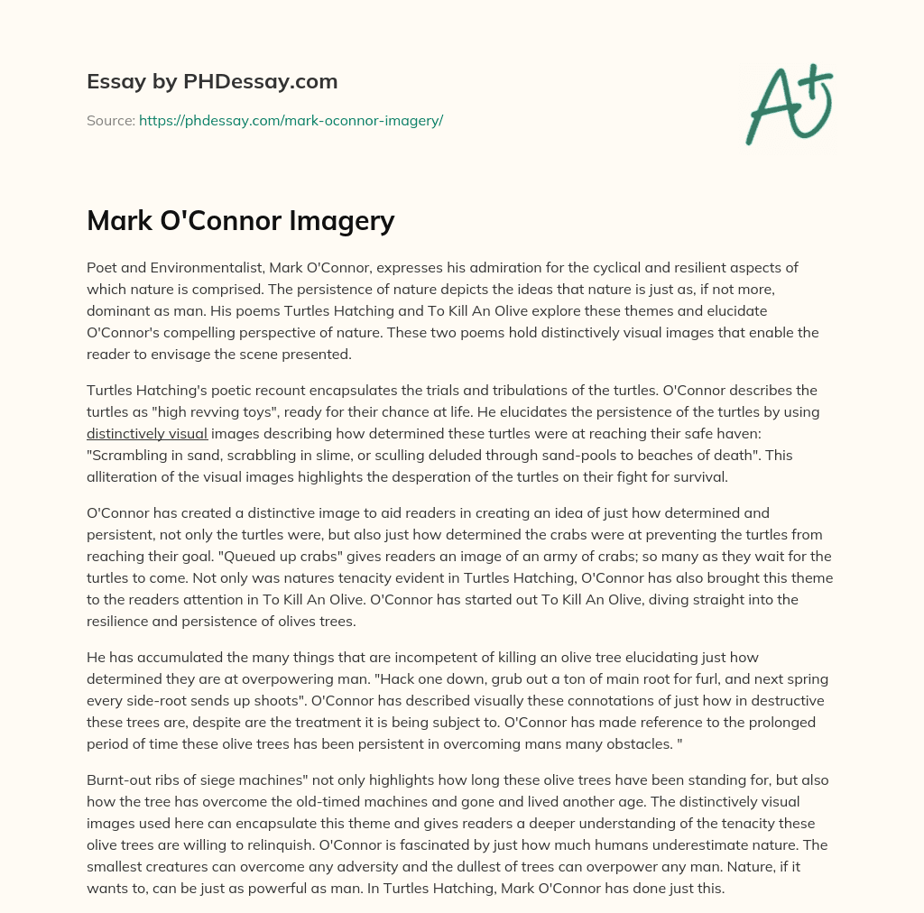 Mark O’Connor Imagery essay