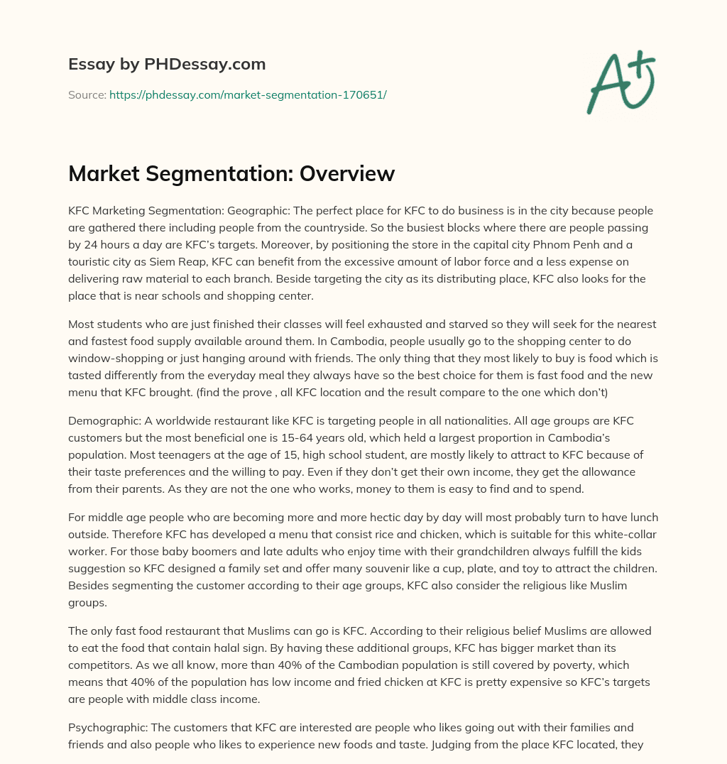Market Segmentation: Overview essay