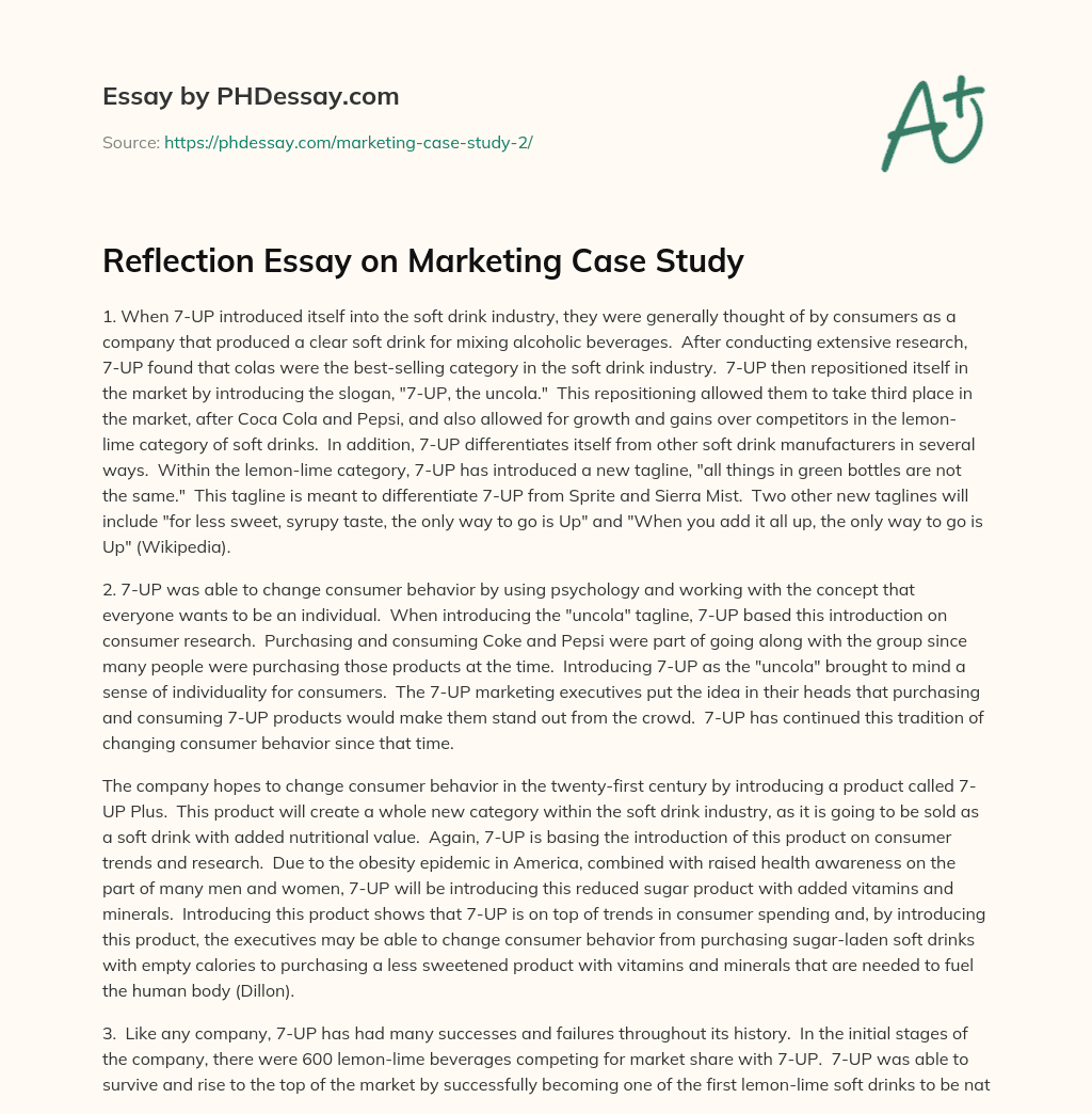 Reflection Essay on Marketing Case Study essay